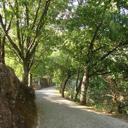 Artur Διαμέρισμα *