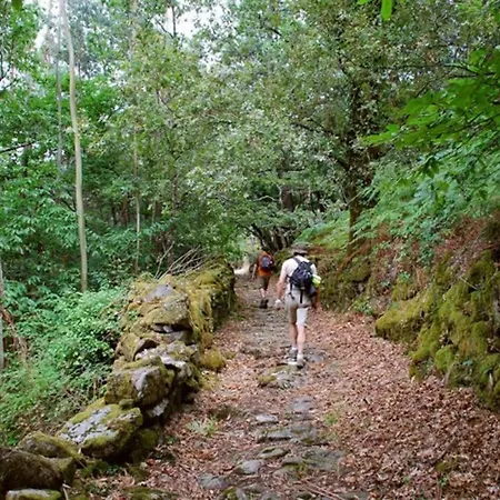 Artur Lousa (Coimbra)